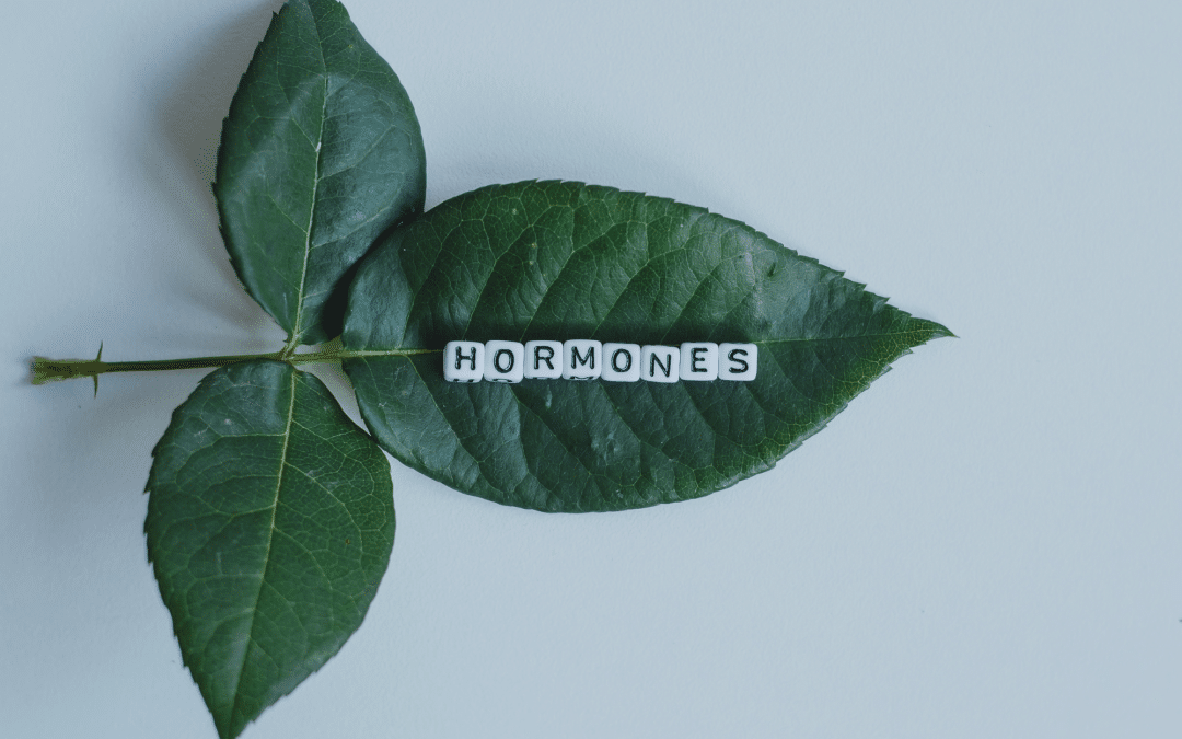 HRT for men and women