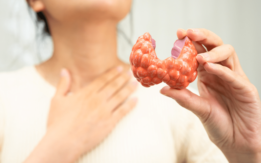 Beyond TSH: Why Your Thyroid Medication Isn’t Fixing Your Fatigue