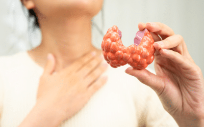 Beyond TSH: Why Your Thyroid Medication Isn’t Fixing Your Fatigue